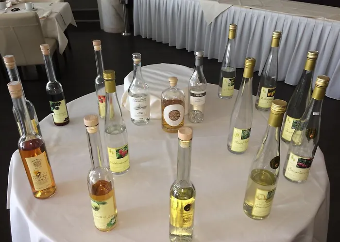 Courtyard By Marriott 酒店 弗赖堡